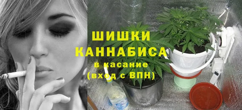 Бошки марихуана White Widow  что такое   Энгельс 